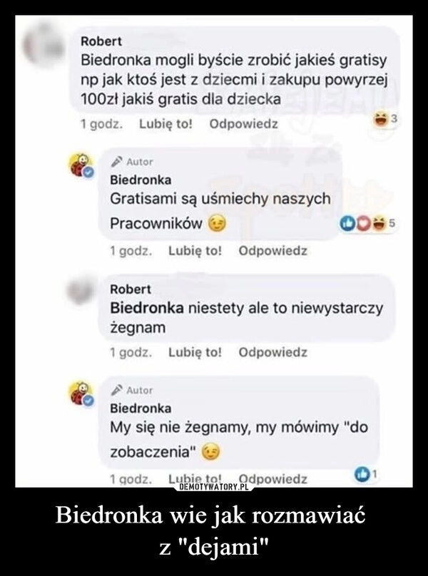 
    Biedronka wie jak rozmawiać 
z "dejami"