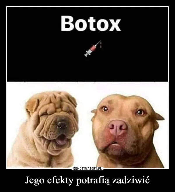 
    Jego efekty potrafią zadziwić