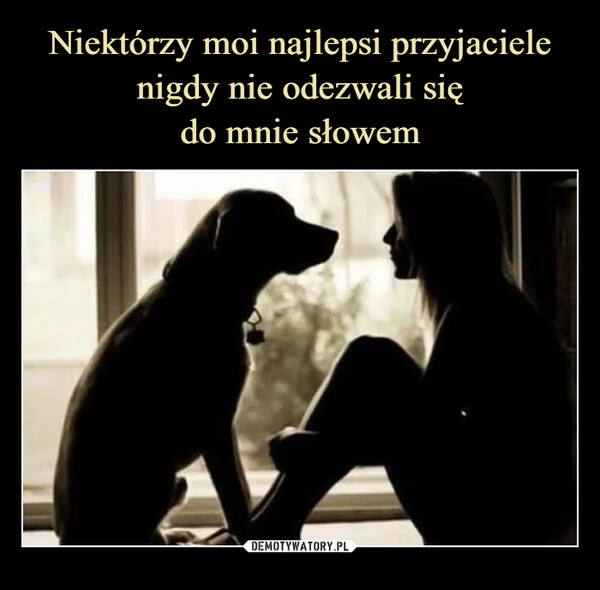 Niektórzy moi najlepsi przyjaciele nigdy nie odezwali się do mnie słowem