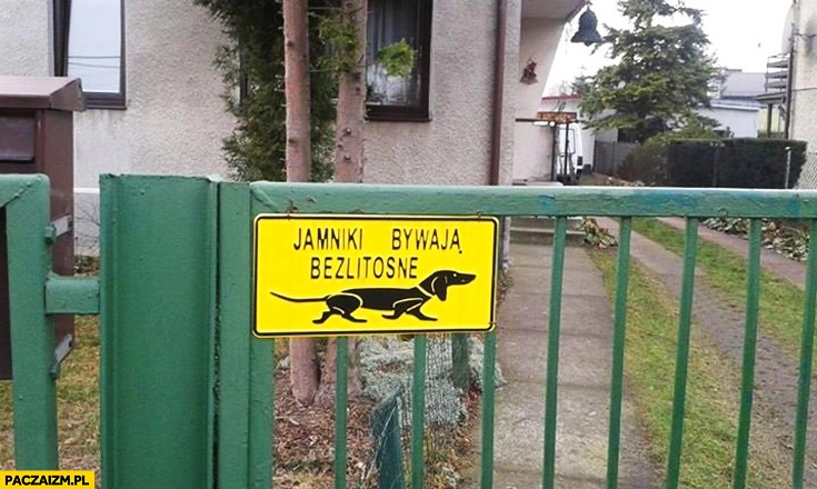 
    Jamniki bywają bezlitosne