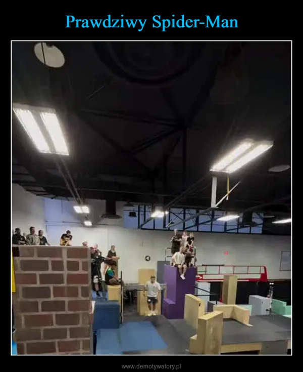 
    Prawdziwy Spider-Man