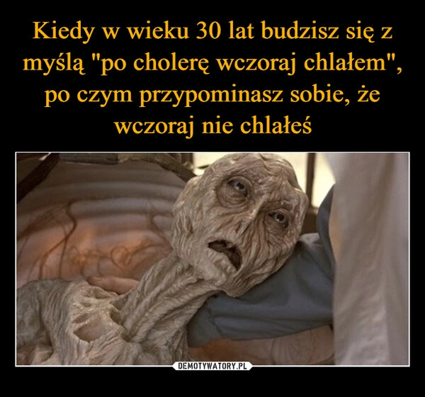 
    Kiedy w wieku 30 lat budzisz się z myślą "po cholerę wczoraj chlałem", po czym przypominasz sobie, że wczoraj nie chlałeś