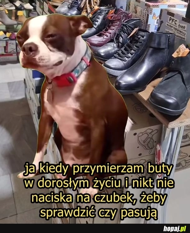 
    Smuteczek