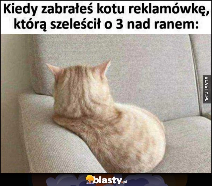 
    Kiedy zabrałeś kotu reklamówkę, którą szeleścił o 3 nad ranem obrażony kot