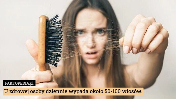 
    U zdrowej osoby dziennie wypada około 50-100 włosów.