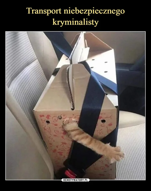 
    Transport niebezpiecznego kryminalisty