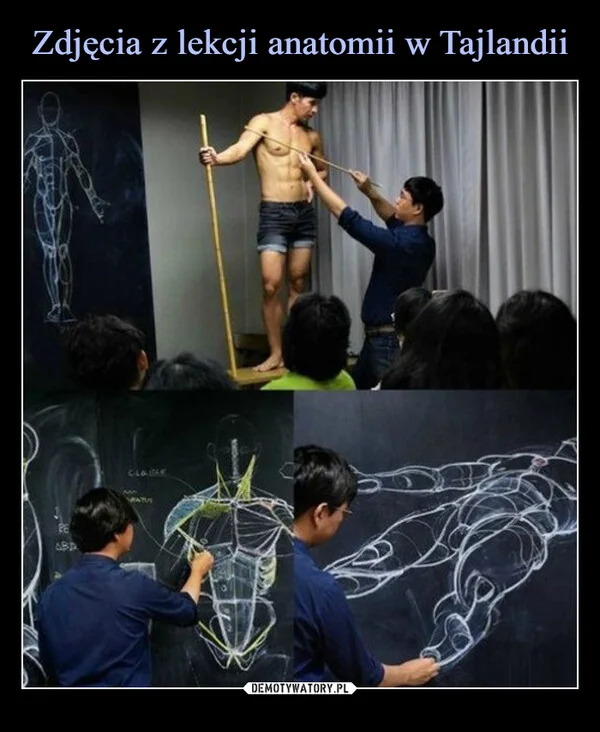 Zdjęcia z lekcji anatomii w Tajlandii