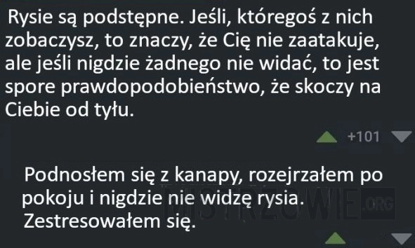 
    Podstępne zwierzęta