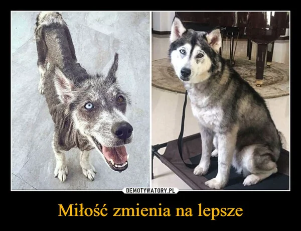 
    Miłość zmienia na lepsze