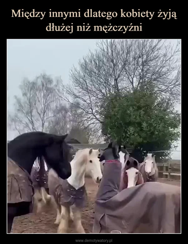 
    Między innymi dlatego kobiety żyją dłużej niż mężczyźni