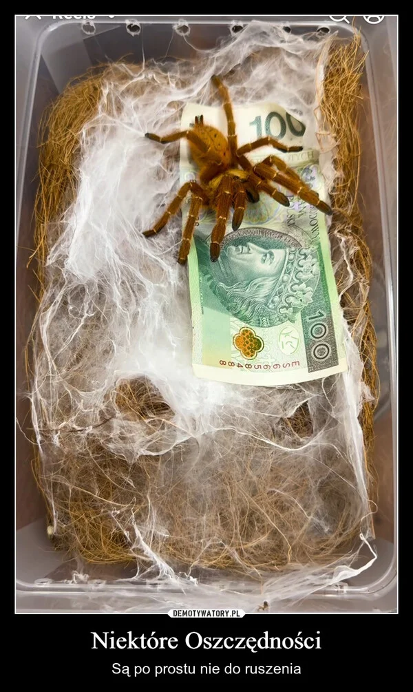 
    Niektóre Oszczędności