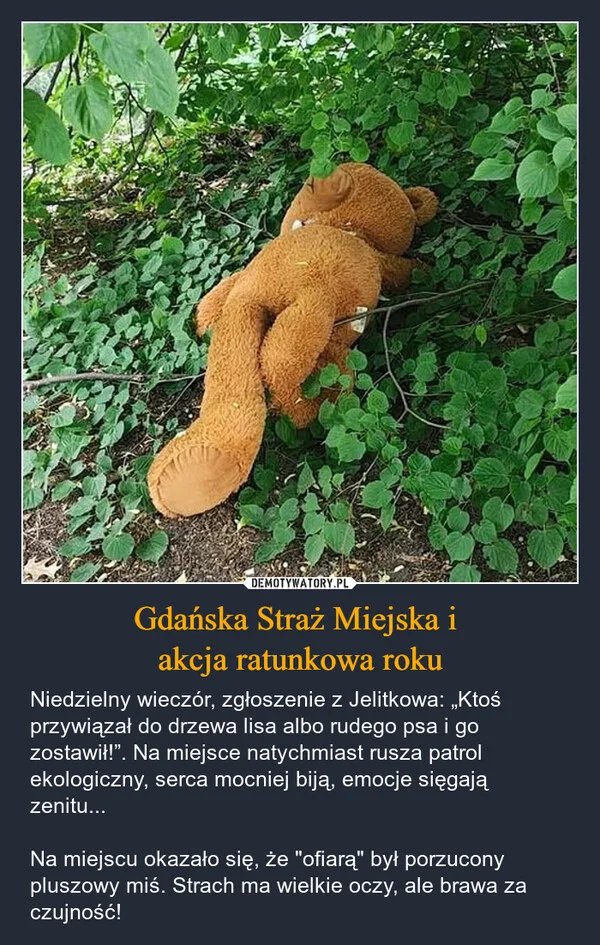 
    Gdańska Straż Miejska i akcja ratunkowa roku