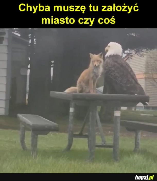 Kraj od razu