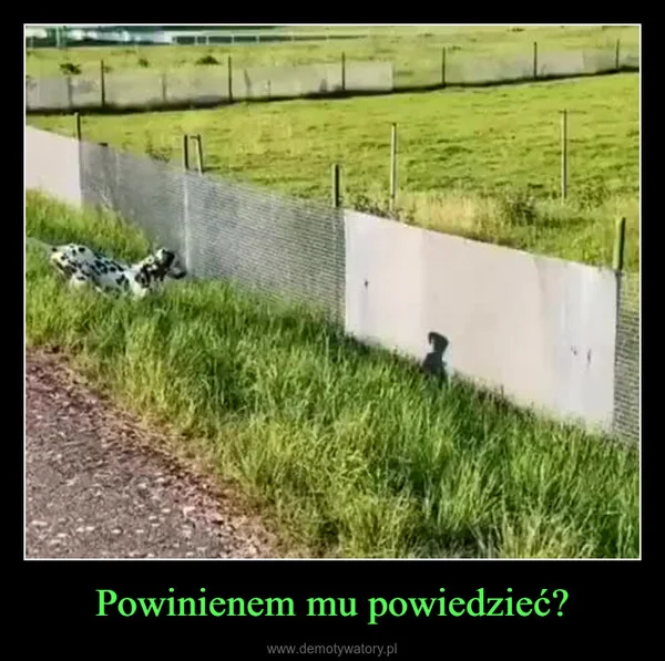 
    Powinienem mu powiedzieć?