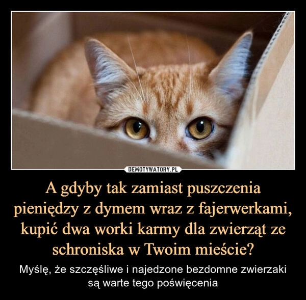 
    A gdyby tak zamiast puszczenia pieniędzy z dymem wraz z fajerwerkami, kupić dwa worki karmy dla zwierząt ze schroniska w Twoim mieście?