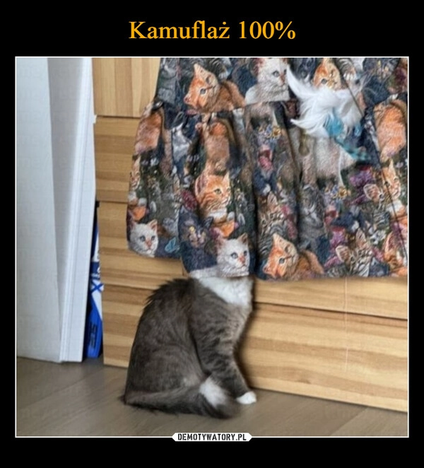 
    Kamuflaż 100%