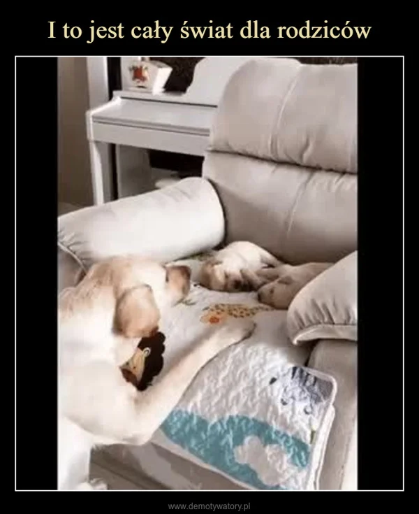
    I to jest cały świat dla rodziców