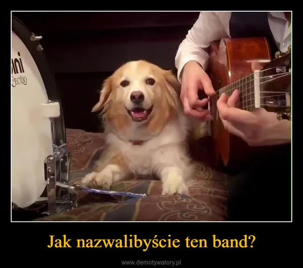 
    Jak nazwalibyście ten band?