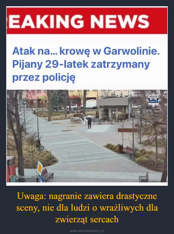
    Uwaga: nagranie zawiera drastyczne sceny, nie dla ludzi o wrażliwych dla zwierząt sercach