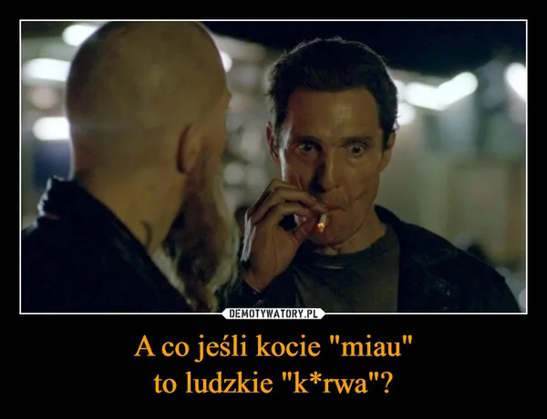 
    A co jeśli kocie 