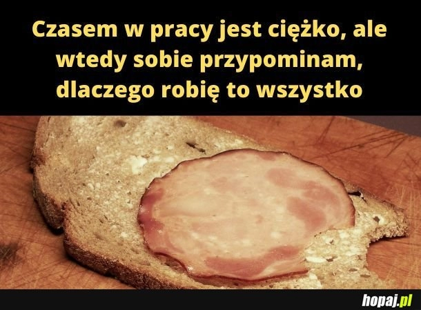 
    Sucha żywiecka? 