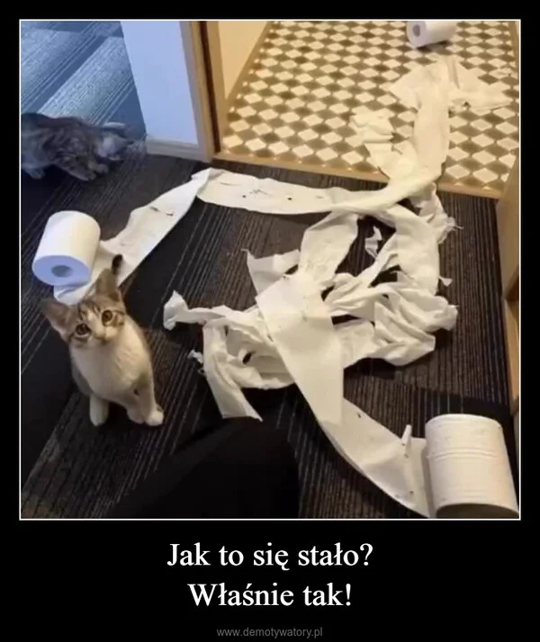 
    Jak to się stało? Właśnie tak!
