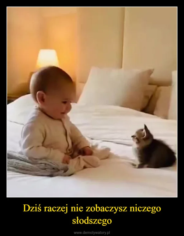
    Dziś raczej nie zobaczysz niczego słodszego