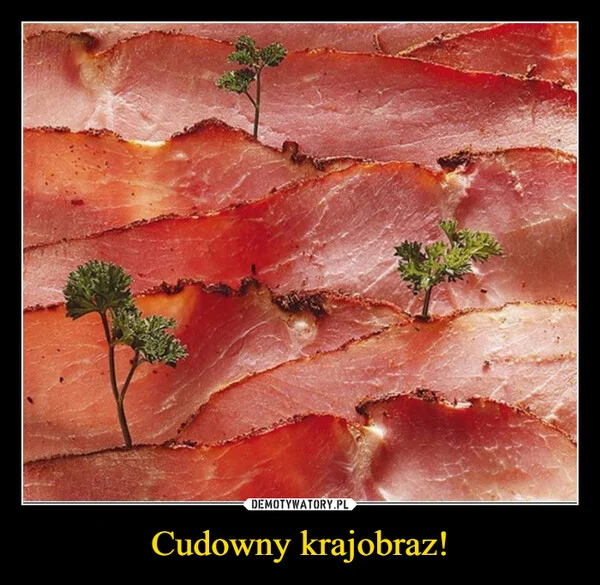 
    Cudowny krajobraz!
