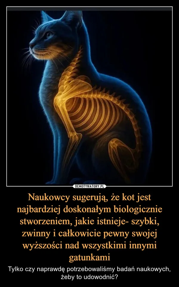 
    Naukowcy sugerują, że kot jest najbardziej doskonałym biologicznie stworzeniem, jakie istnieje- szybki, zwinny i całkowicie pewny swojej wyższości nad wszystkimi innymi gatunkami