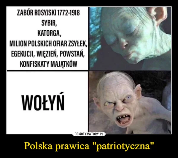 
    Polska prawica 