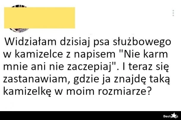 
    Kamizelka 