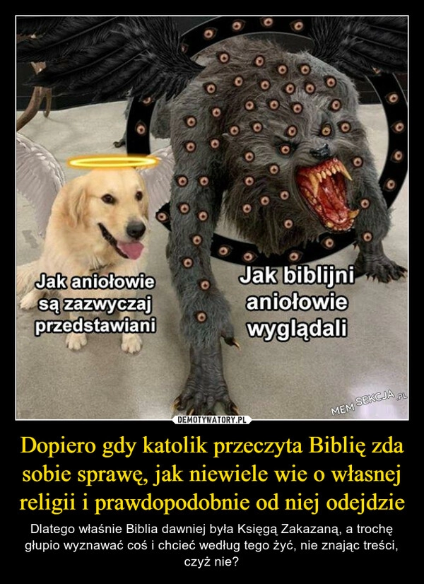 
    Dopiero gdy katolik przeczyta Biblię zda sobie sprawę, jak niewiele wie o własnej religii i prawdopodobnie od niej odejdzie