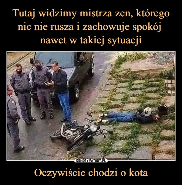 
    Tutaj widzimy mistrza zen, którego nic nie rusza i zachowuje spokój
nawet w takiej sytuacji Oczywiście chodzi o kota 