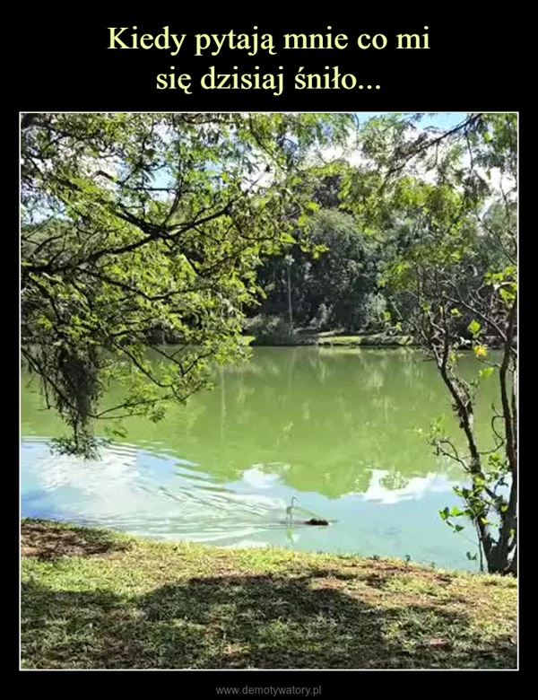 
    Kiedy pytają mnie co mi się dzisiaj śniło...