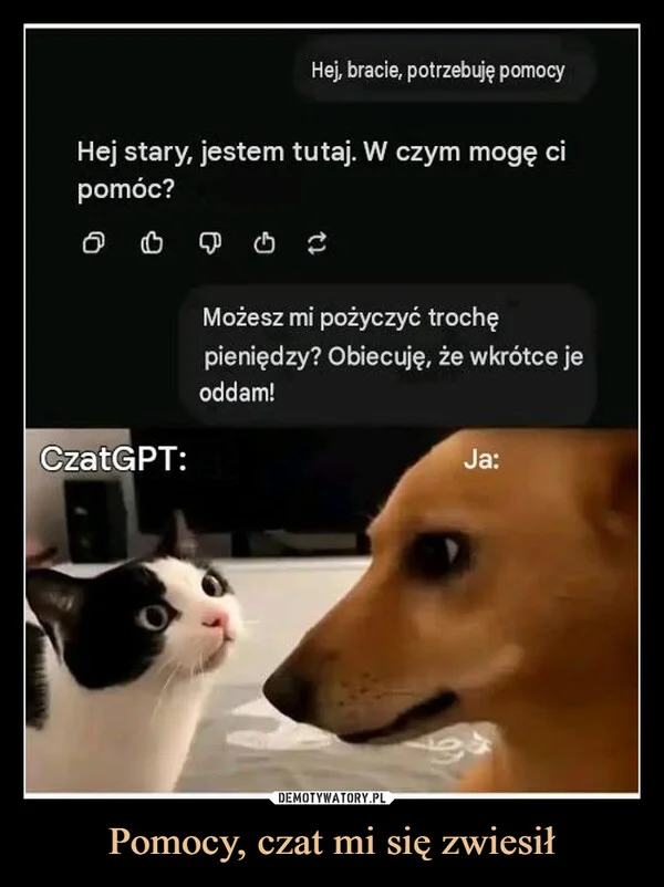 
    Pomocy, czat mi się zwiesił