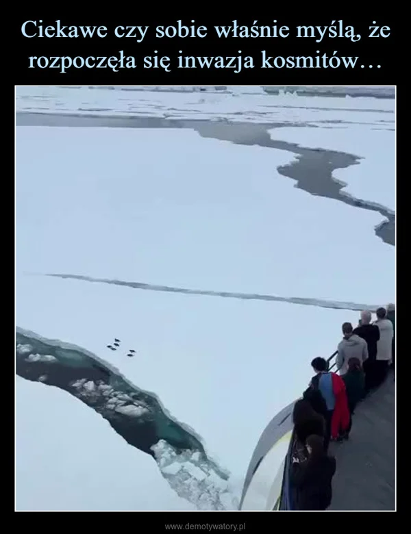 
    Ciekawe czy sobie właśnie myślą, że rozpoczęła się inwazja kosmitów…