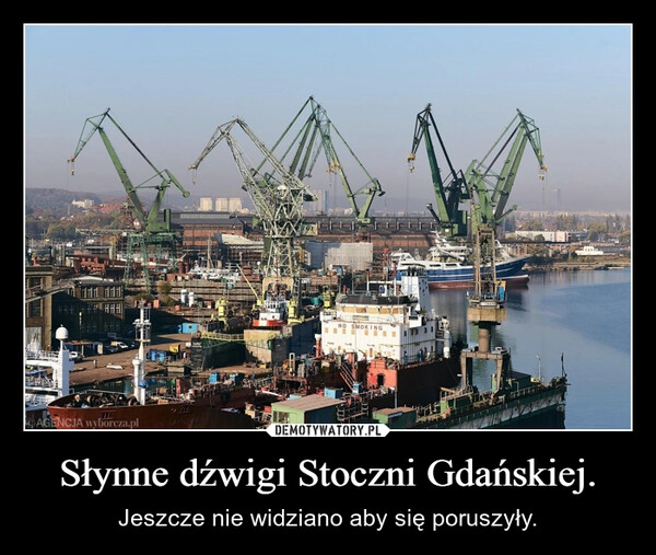 
    Słynne dźwigi Stoczni Gdańskiej.