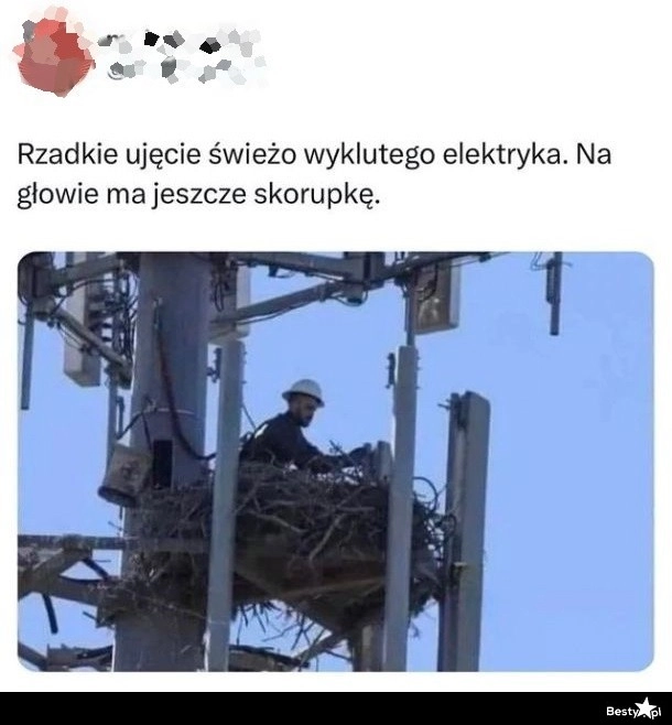 
    Rzadkie zdjęcie 