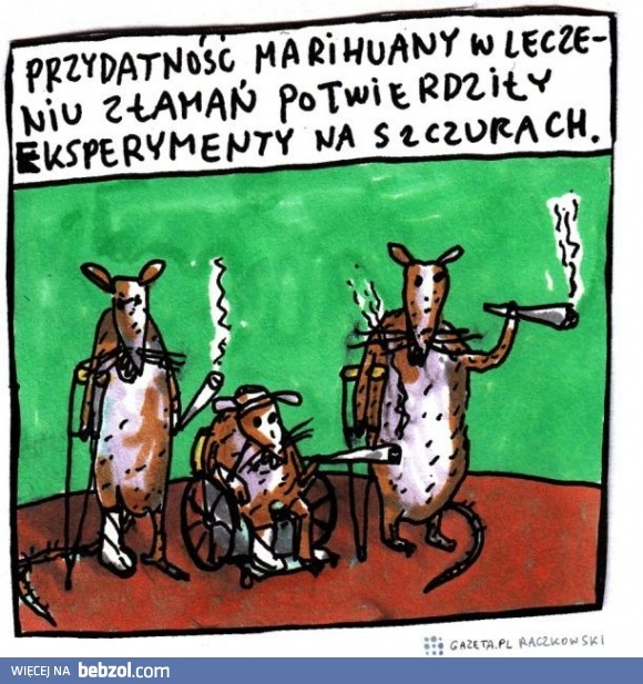 
    Eksperymenty na szczurach