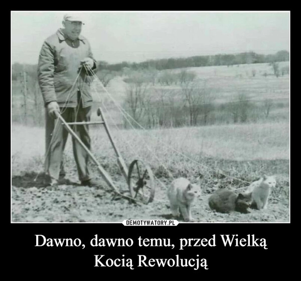 
    Dawno, dawno temu, przed Wielką Kocią Rewolucją