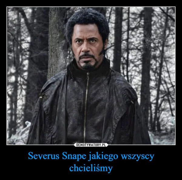 
    Severus Snape jakiego wszyscy chcieliśmy