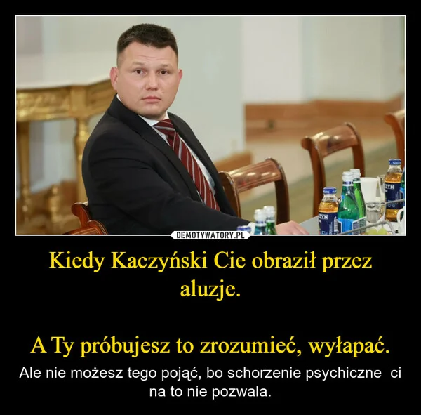 
    Kiedy Kaczyński Cie obraził przez aluzje. A Ty próbujesz to zrozumieć, wyłapać.