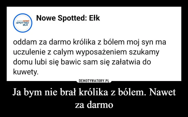 
    Ja bym nie brał królika z bólem. Nawet za darmo