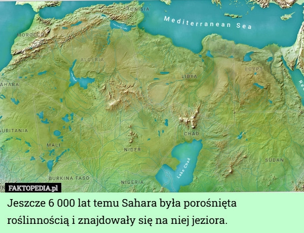 
    Jeszcze 6 000 lat temu Sahara była porośnięta roślinnością i znajdowały