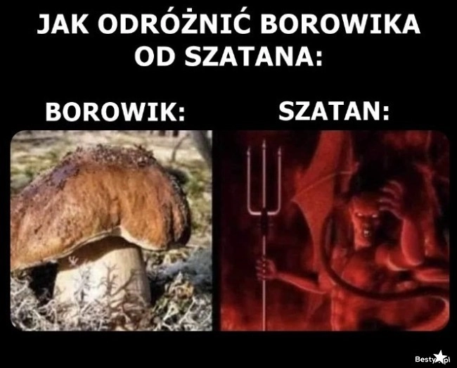 
    Bardzo proste 