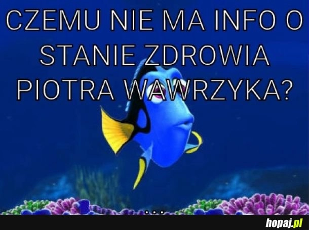 
    żyje w ogole?