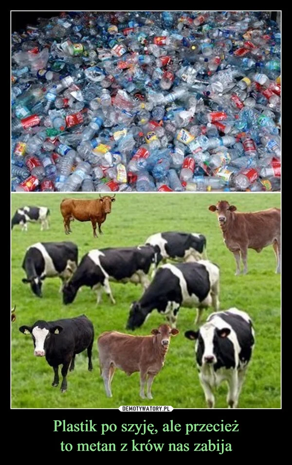 
    Plastik po szyję, ale przecież to metan z krów nas zabija