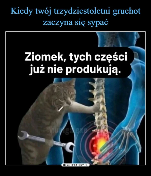 
    Kiedy twój trzydziestoletni gruchot zaczyna się sypać