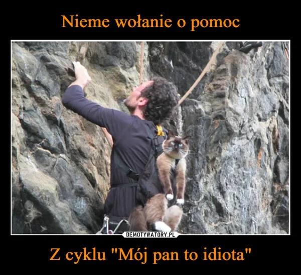 
    Nieme wołanie o pomoc Z cyklu 