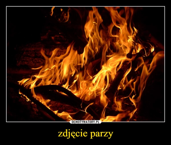 
    zdjęcie parzy